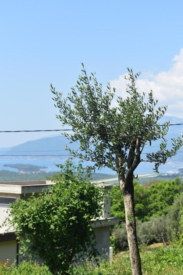 Apartment Macic Dub II Cattaro Esterno foto